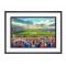Windsor Park Stadium Fine Art Print - Linfield Football Club